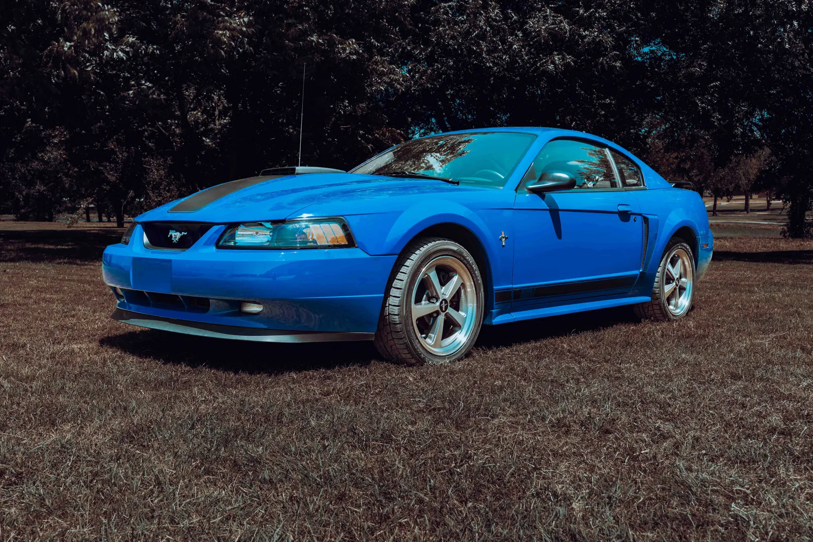 2003 Ford Mach 1 Test Drive